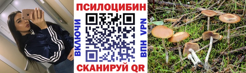 купить   Воскресенск  Псилоцибиновые грибы мухоморы 